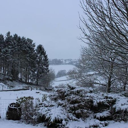 Country Home With Gardens Newtown  Esterno foto