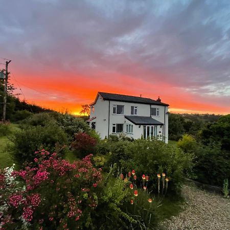 Country Home With Gardens Newtown  Esterno foto