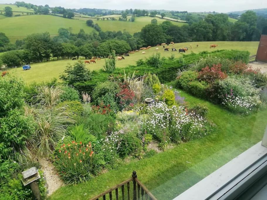Country Home With Gardens Newtown  Esterno foto